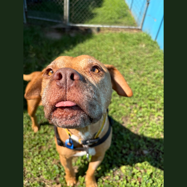 Photo of Nelly