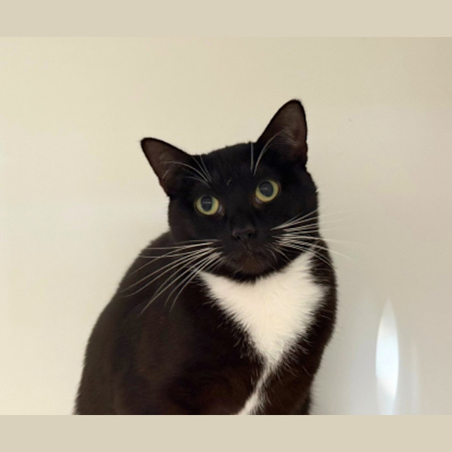 Photo of Maggie