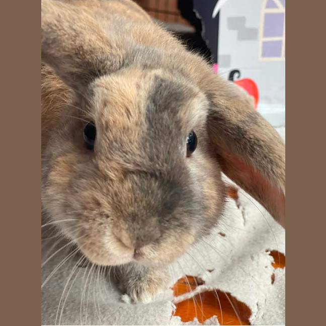Photo of Monty