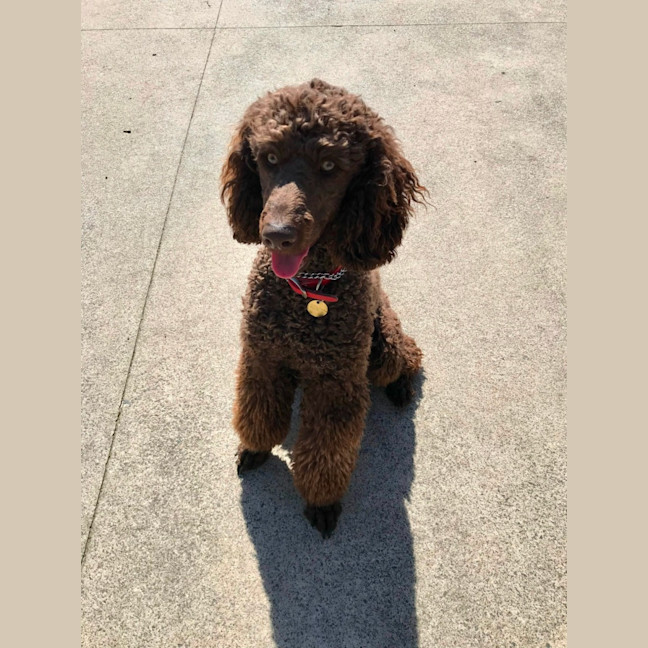 Photo of Xander