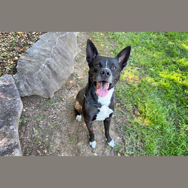 Photo of Little Bear