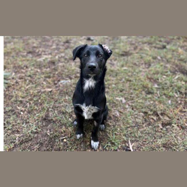 Photo of Belle
