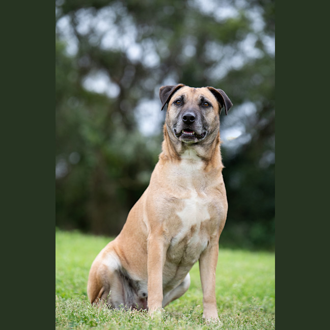 Photo of Margo