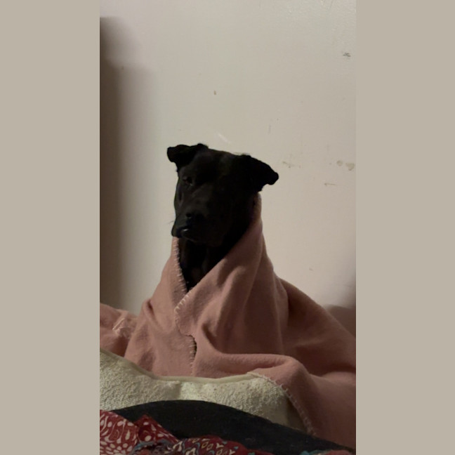 Photo of Mister And Kaydo