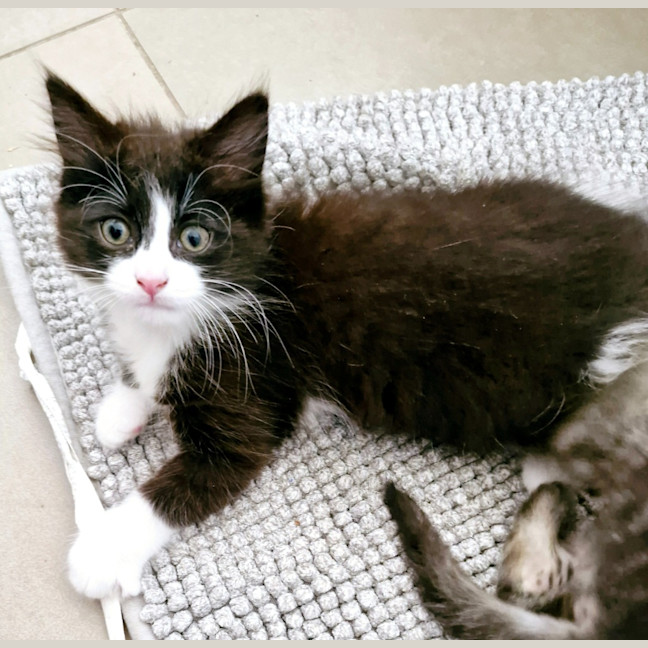 Photo of Cleo