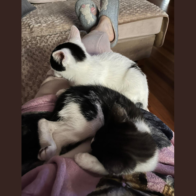 Photo of Adelina & Flora