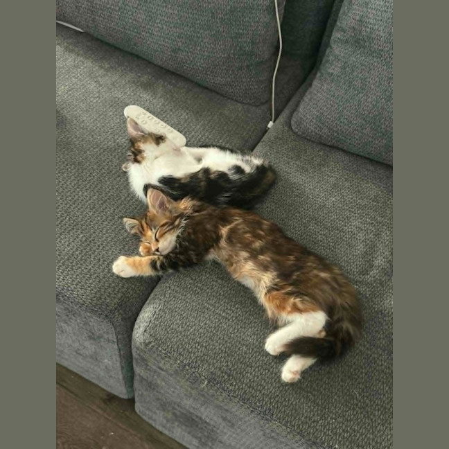 Photo of Pretzel 🥨