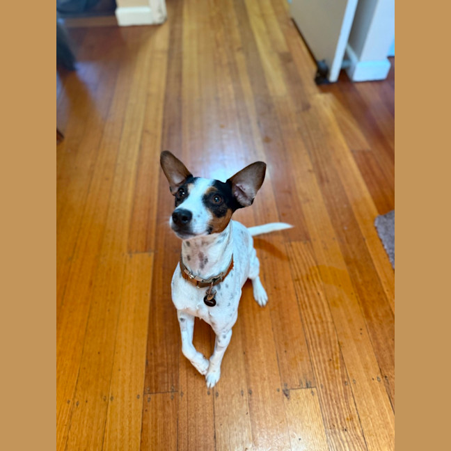Photo of Bobby 