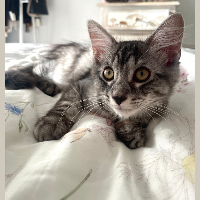 Photo of Leo