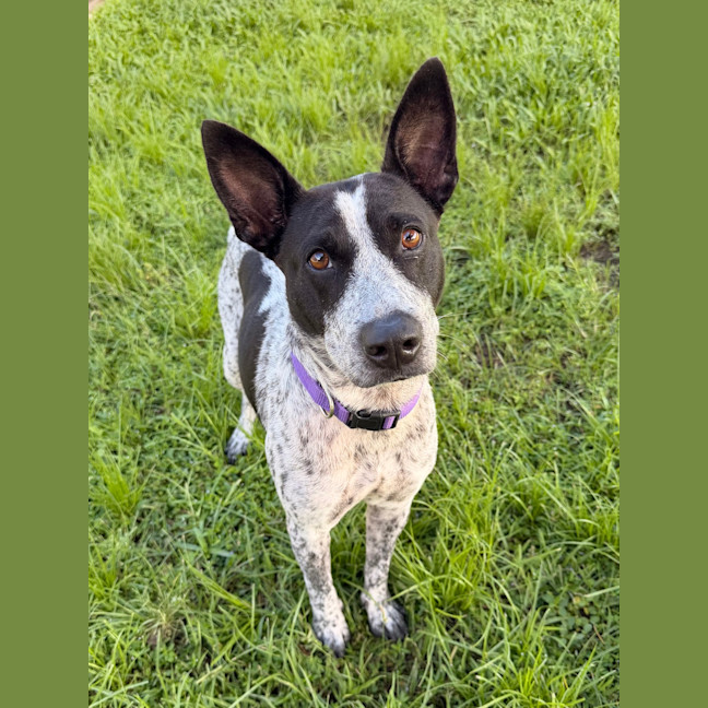 Photo of Bobbi