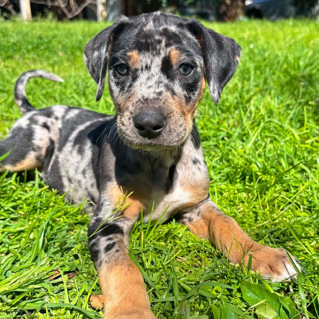 Photo of Kaiya