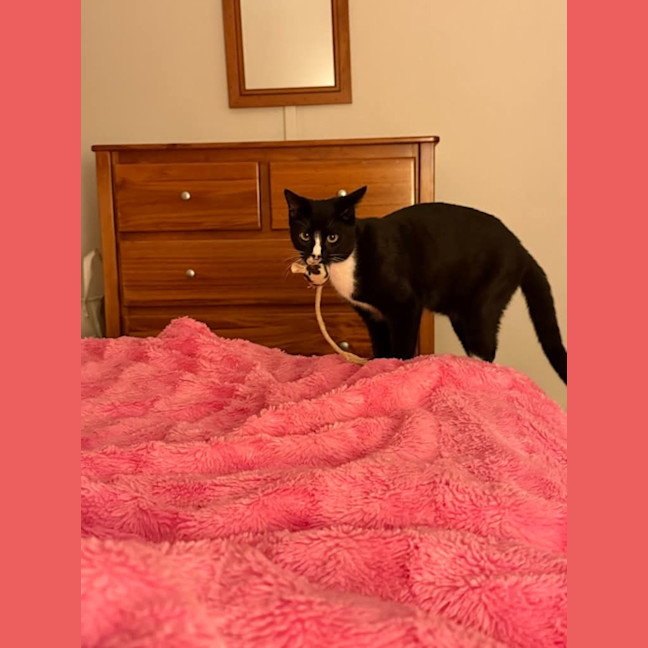 Photo of Twix