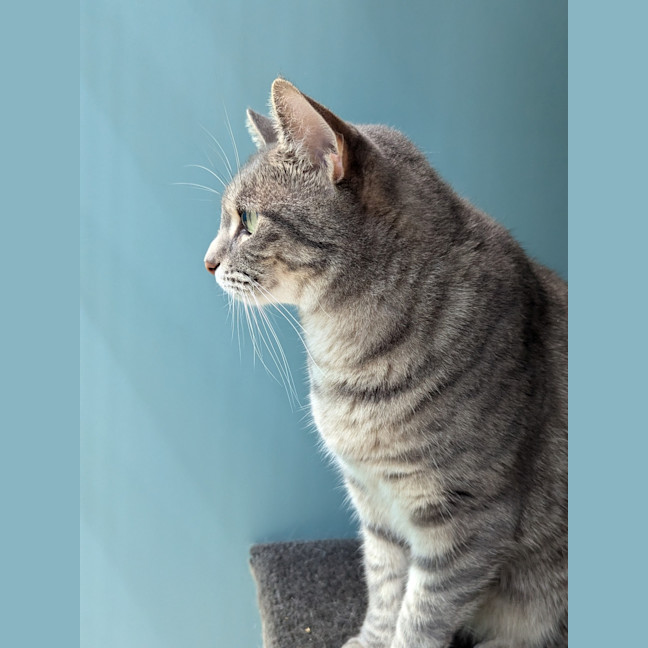 Photo of Mirabel