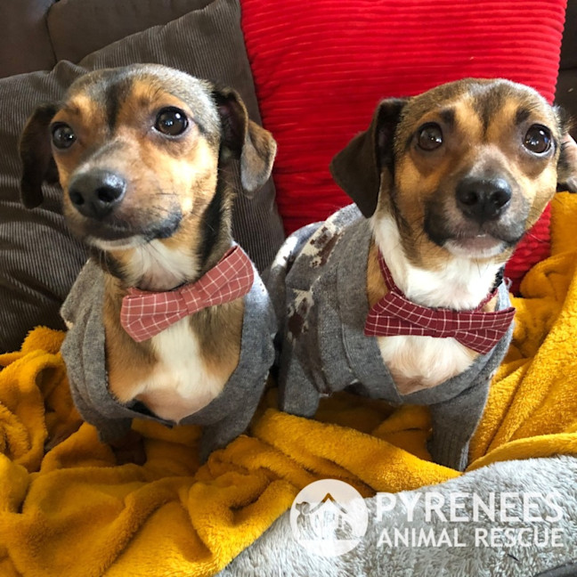 Photo of Bert And Ernie