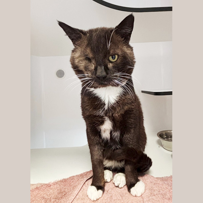 Photo of Gruff Sta013045