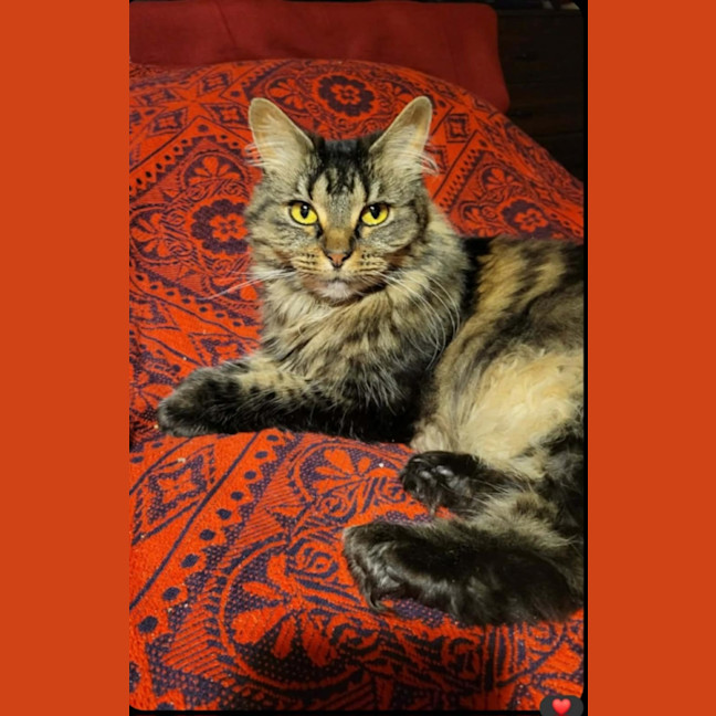 Photo of Tara