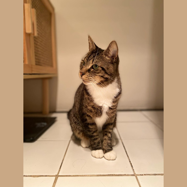 Photo of Chester   Located In Richmond