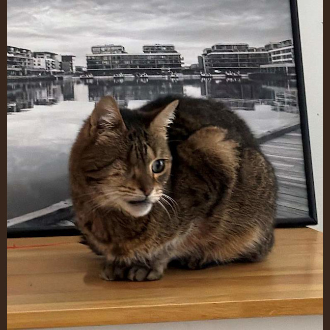 Photo of Gunther
