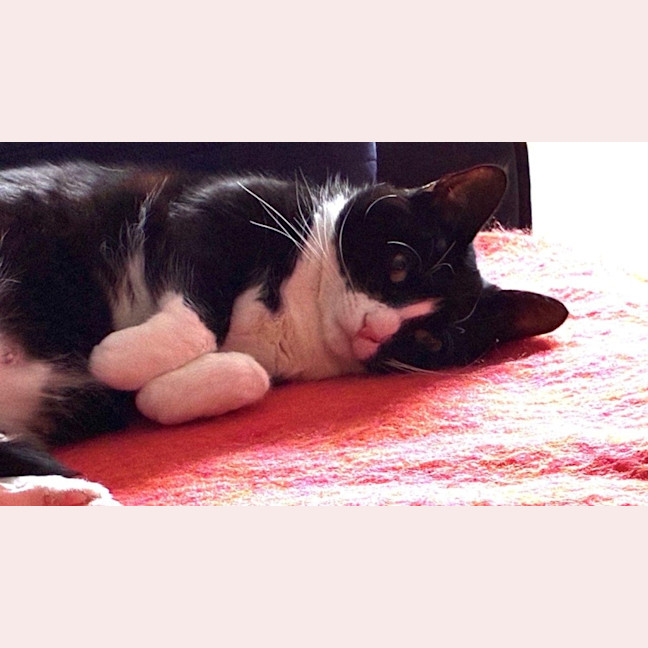 Photo of Penelope Babbington