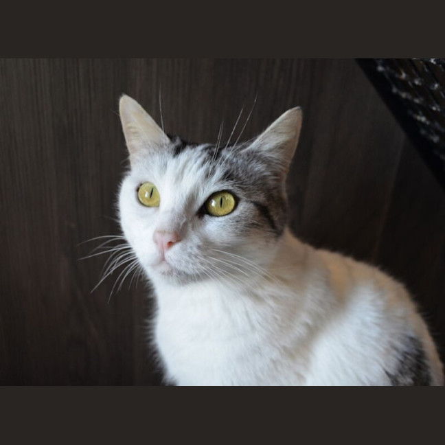 Photo of Minnie