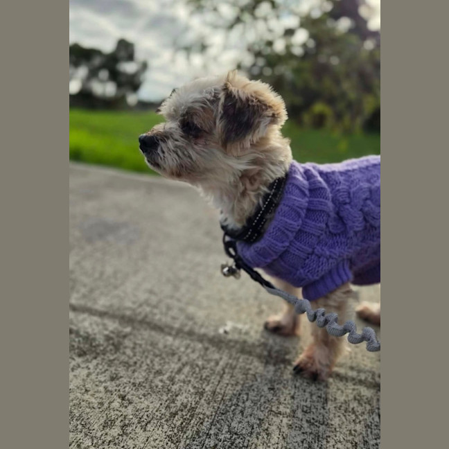 Photo of Darla
