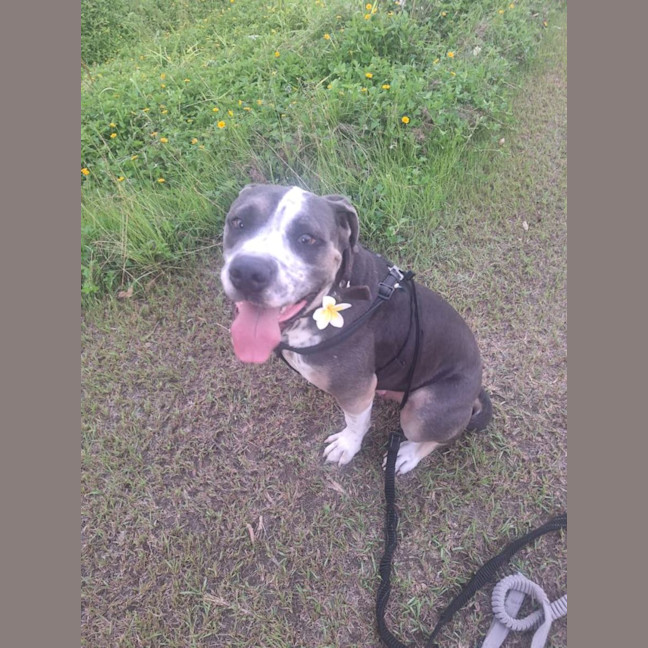 Photo of Buddy Two