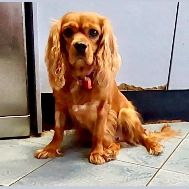 Photo of Lovely Lala 