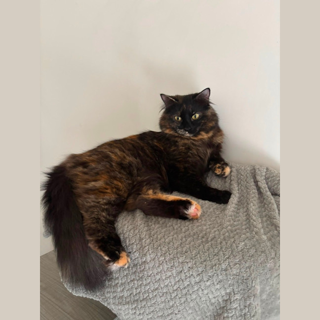 Photo of Hazel