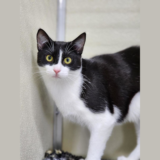 Photo of ⚓ Albie 6597 ⚓ 