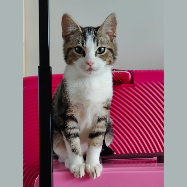 Photo of April