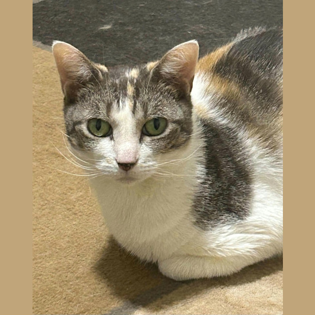 Photo of Vera