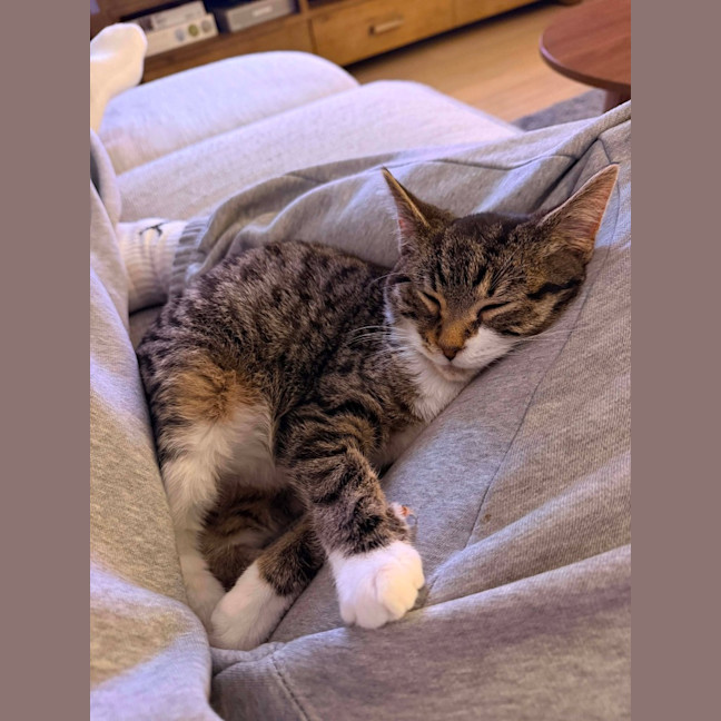 Photo of Theo