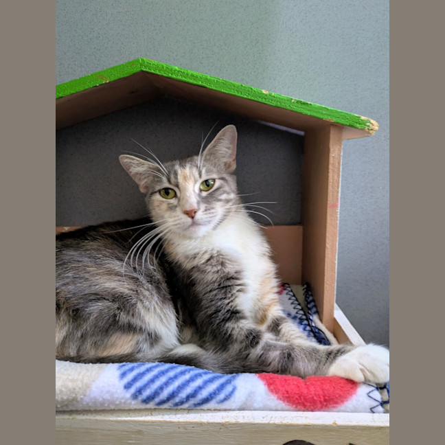 Photo of Molly