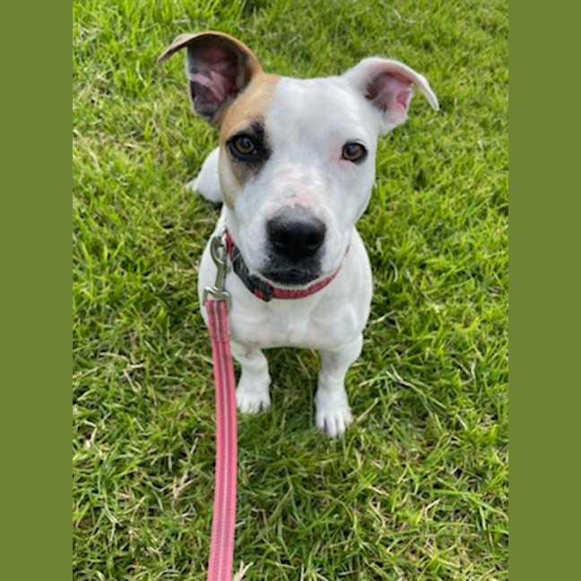 Photo of Lulu