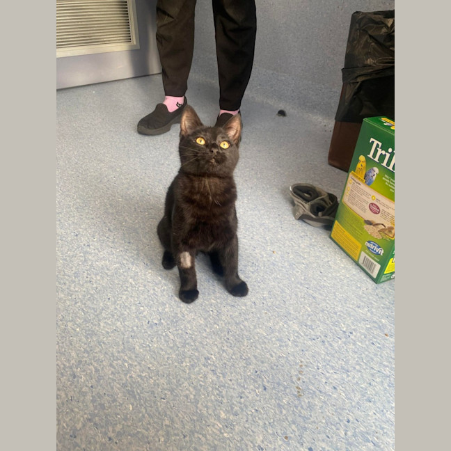 Photo of Sabrina   Located In Kew