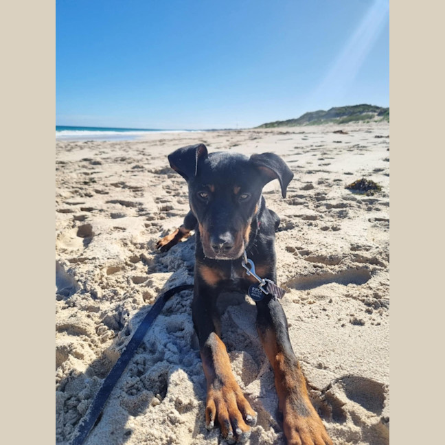 Photo of Zigzag 