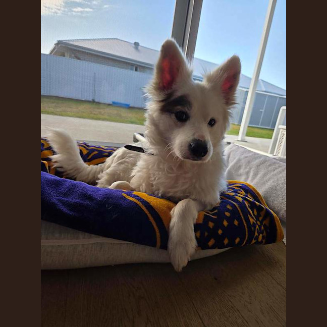 Photo of Kasper