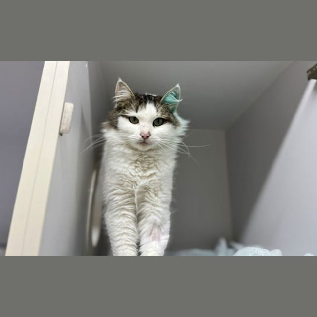 Photo of Mollly