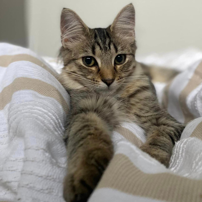 Photo of Rizzo