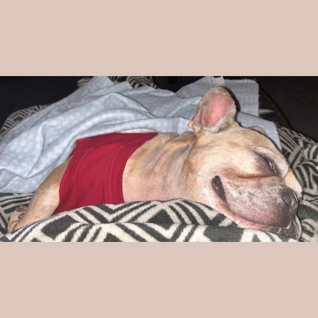 Photo of Luna Wensleydale