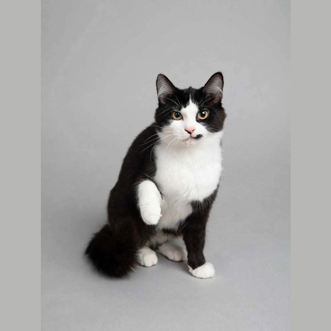 Photo of Bonnie
