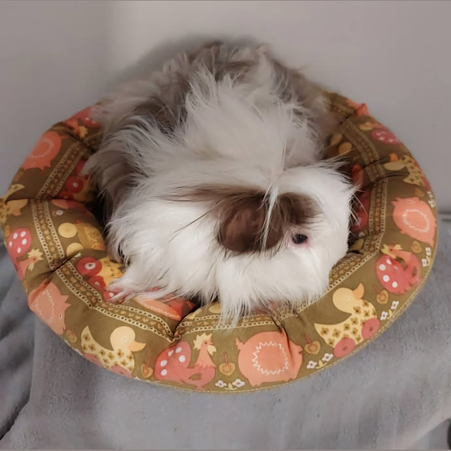 Photo of Jill