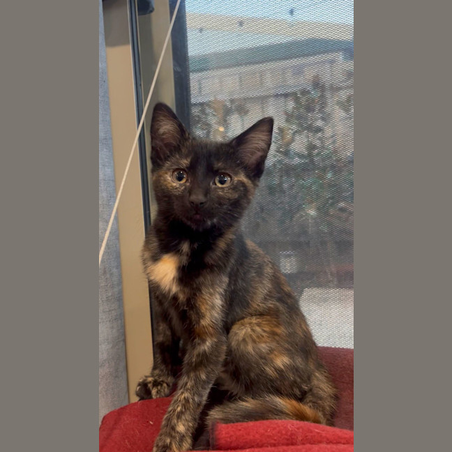 Photo of Wanda