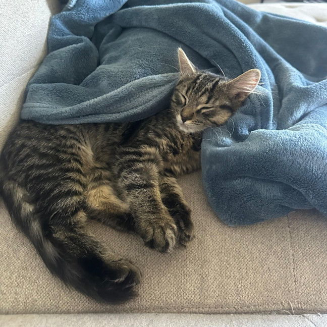 Photo of Octavia