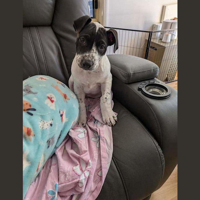 Photo of Patch