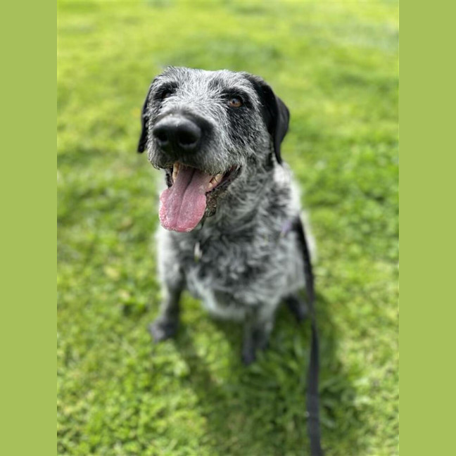 Photo of Annie