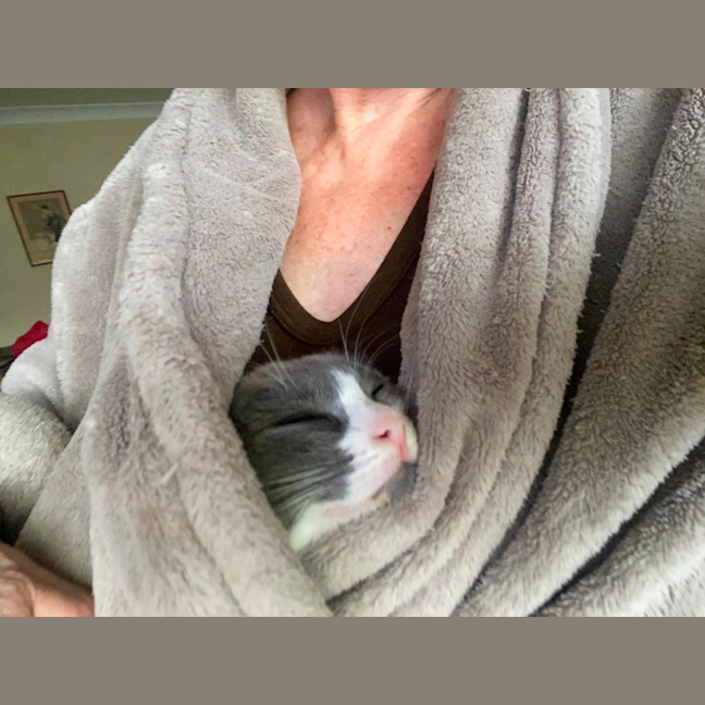 Photo of Pixie