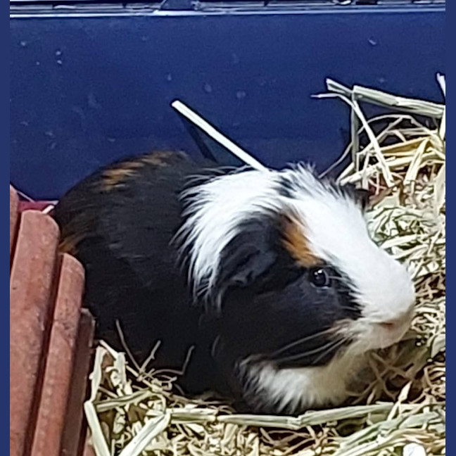 Photo of Caramel & Chocolate