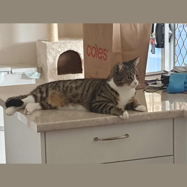 Photo of Miguel / Sarah