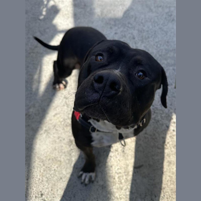 Photo of Tank